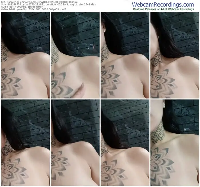 2025/08/03/cam4-porcellina181-01-09-30