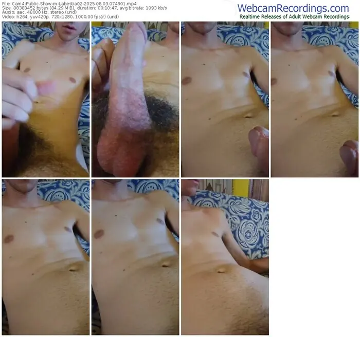 2025/08/03/cam4-labestia02-07-48-01