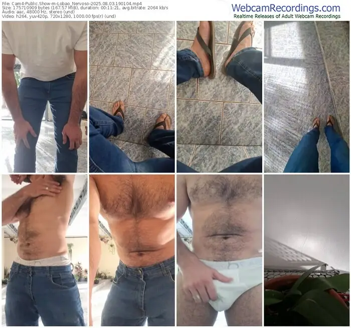 2025/08/03/cam4-lobao_nervoso-19-01-04