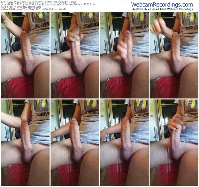 2025/08/03/cam4-nicooo2011-07-03-19