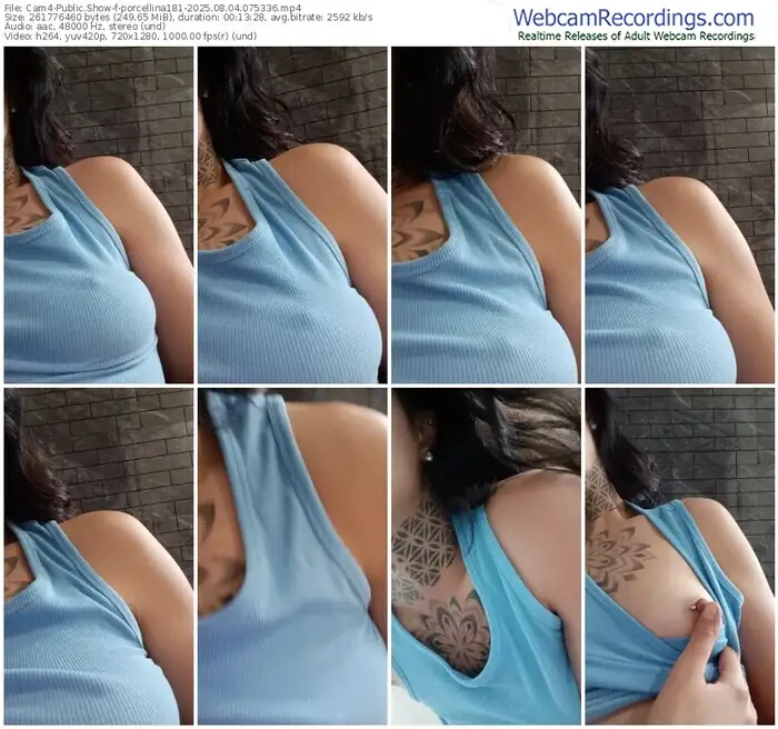 2025/08/04/cam4-porcellina181-07-53-36