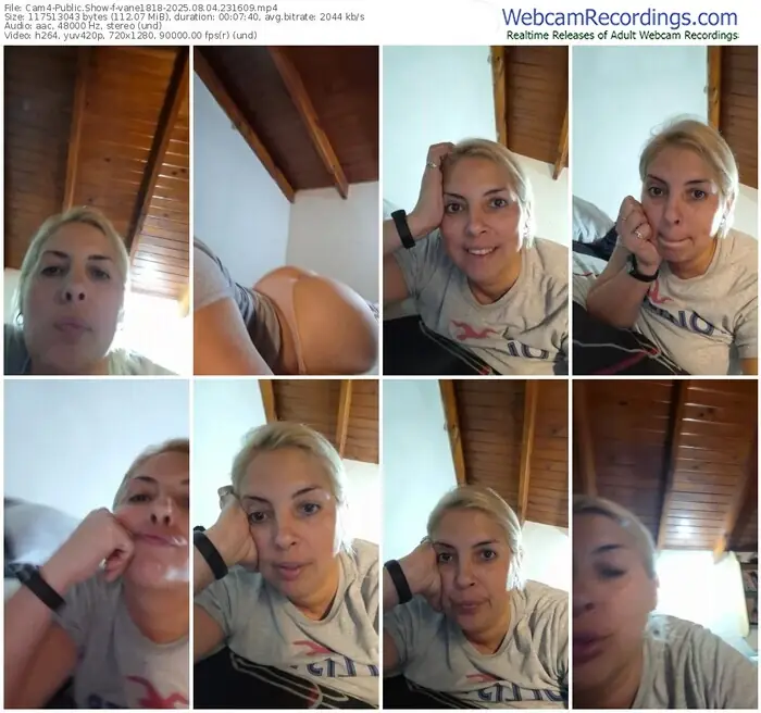 2025/08/04/cam4-vane1818-23-16-09