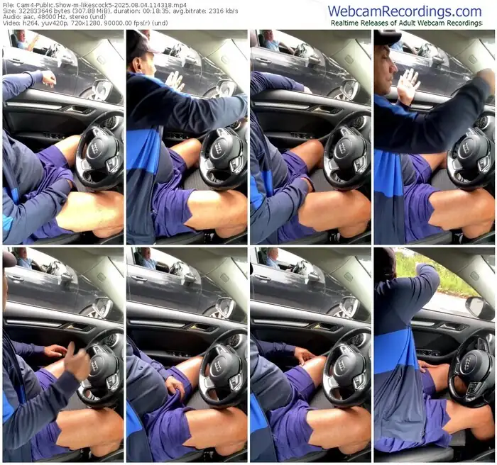 2025/08/04/cam4-likescock5-11-43-18