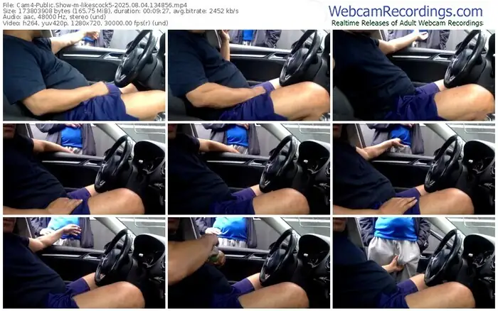 2025/08/04/cam4-likescock5-13-48-56