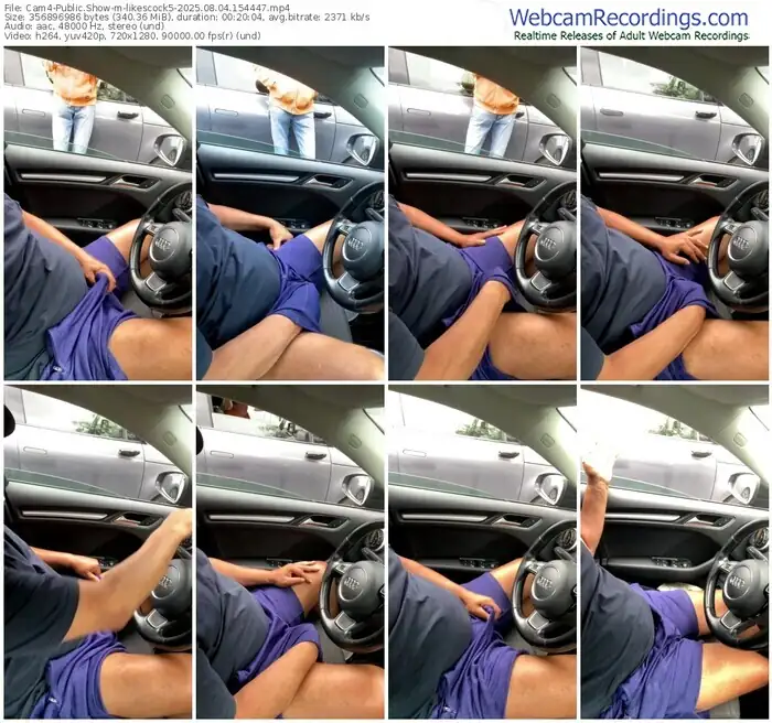 2025/08/04/cam4-likescock5-15-44-47