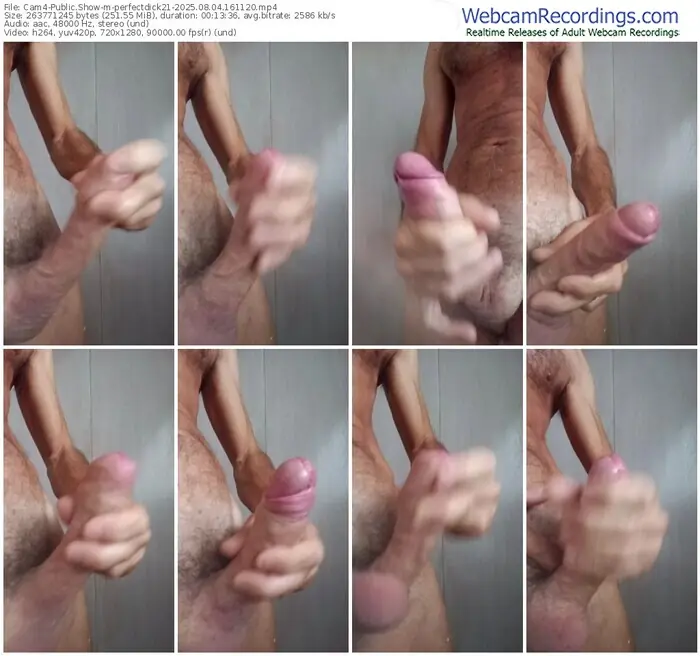 2025/08/04/cam4-perfectdick21-16-11-20