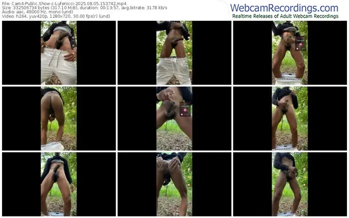 2025/08/05/cam4-lufenicci-15-37-42