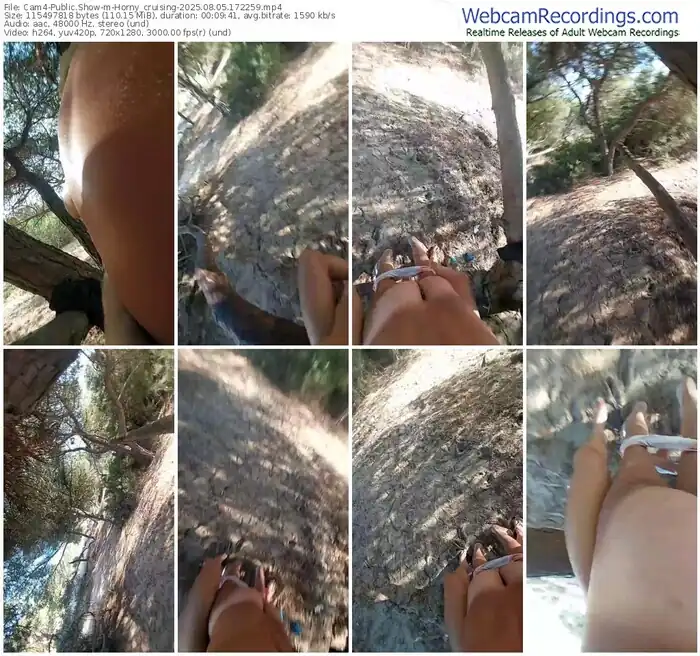 2025/08/05/cam4-horny_cruising-17-22-59