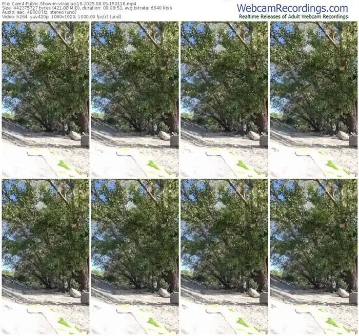 2025/08/05/cam4-viraglaci18-15-01-18