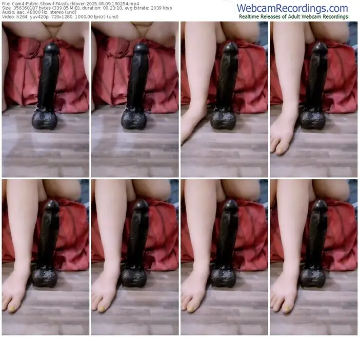 2025/08/09/cam4-fassfucklover-19-02-54