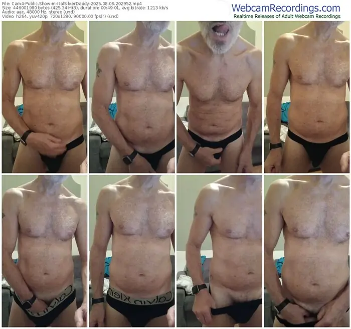 2025/08/09/cam4-italsilverdaddy-20-29-52