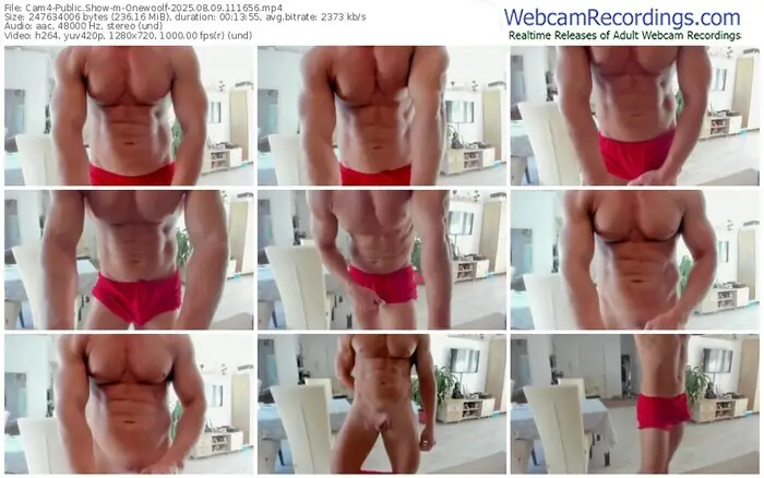 2025/08/09/cam4-onewoolf-11-16-56