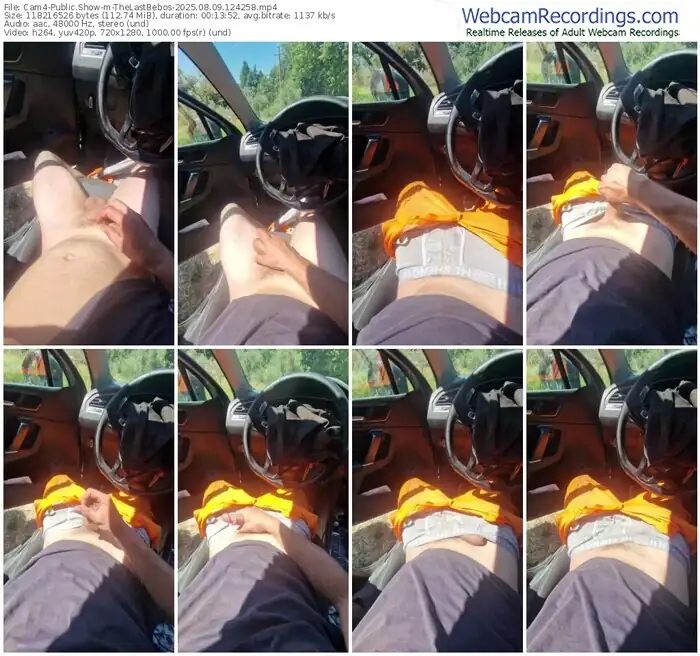 2025/08/09/cam4-thelastbebos-12-42-58