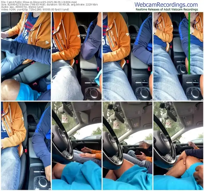 2025/08/09/cam4-likescock5-13-18-04