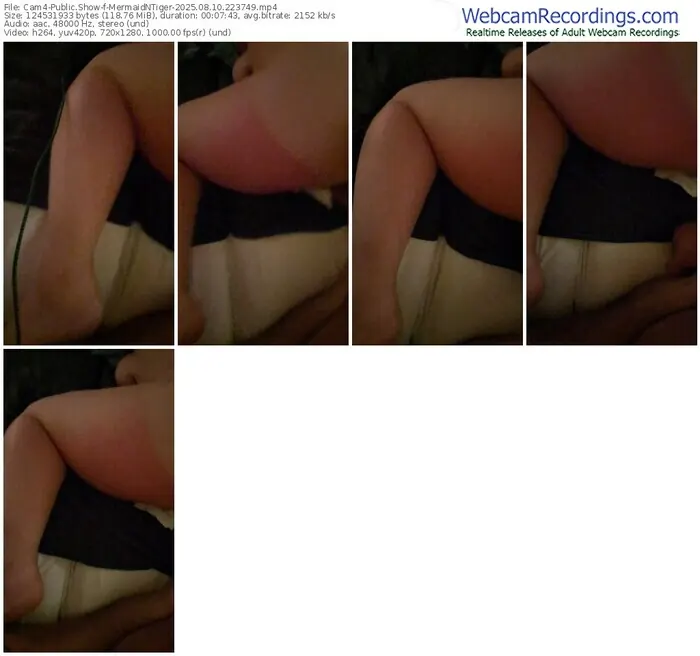 2025/08/10/cam4-mermaidntiger-22-37-49