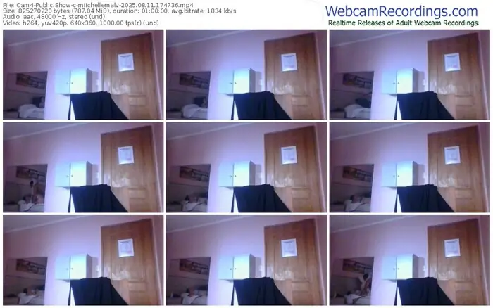 2025/08/11/cam4-miichellemalv-17-47-36
