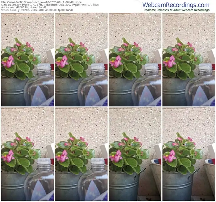 2025/08/11/cam4-nico_love10-08-14-01