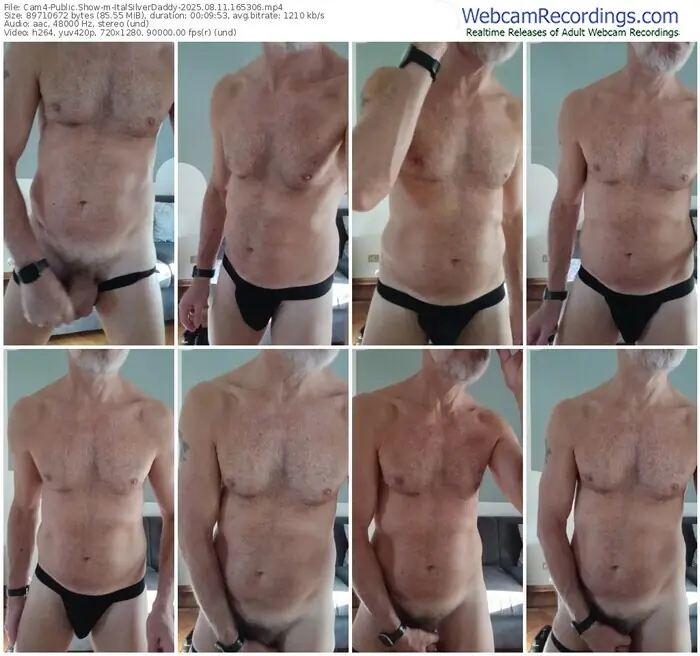 2025/08/11/cam4-italsilverdaddy-16-53-06