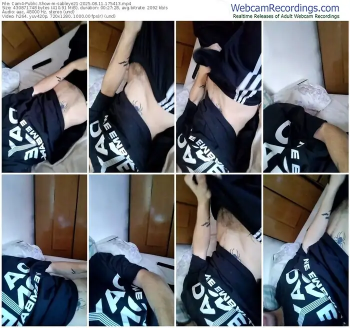 2025/08/11/cam4-sableye21-17-54-13