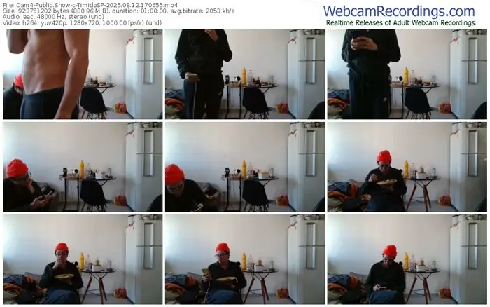 2025/08/12/cam4-timidosp-17-06-55