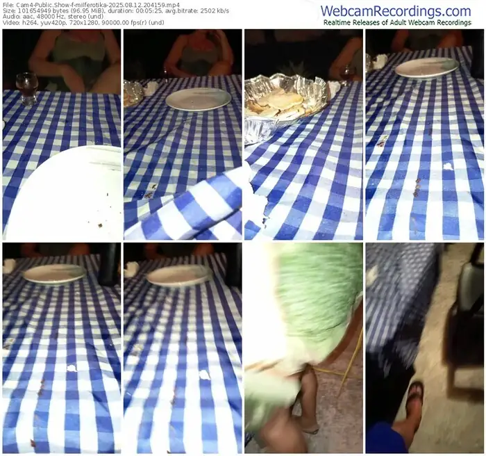 2025/08/12/cam4-milferotika-20-41-59