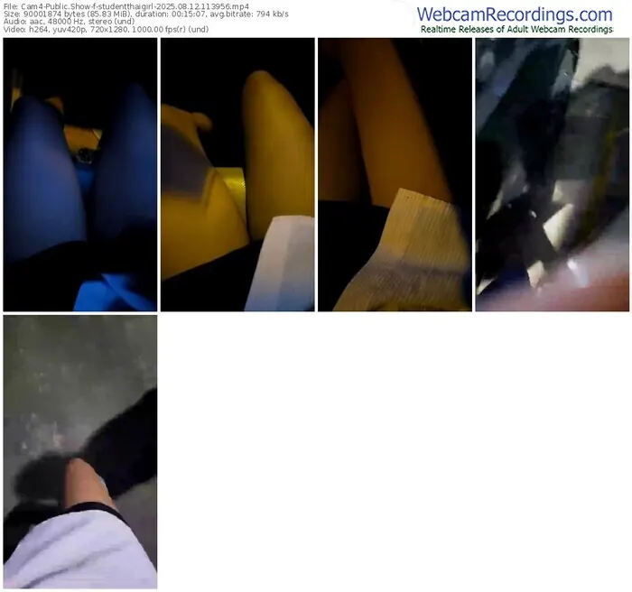 2025/08/12/cam4-studentthaigirl-11-39-56