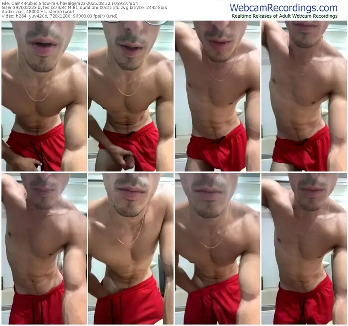 2025/08/12/cam4-chavalgym23-10-39-37