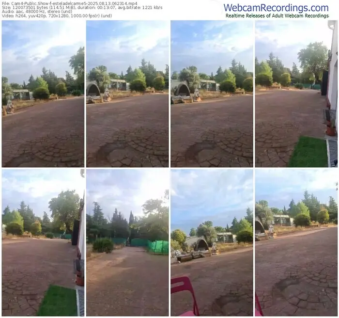 2025/08/13/cam4-esteladelcarme5-06-23-14