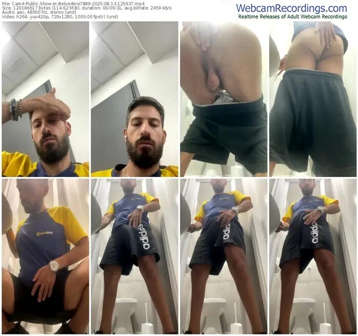 2025/08/13/cam4-belvedere7889-12-56-37