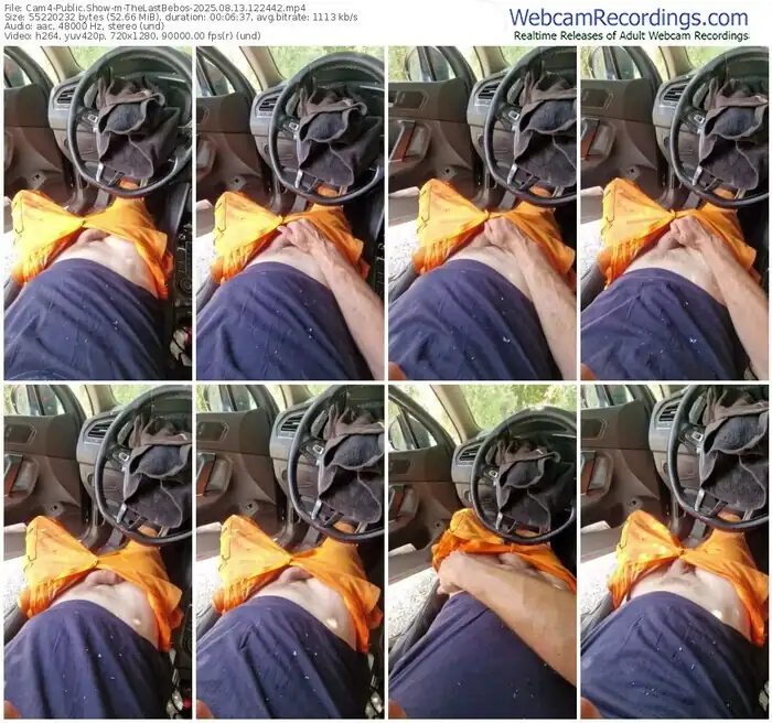 2025/08/13/cam4-thelastbebos-12-24-42