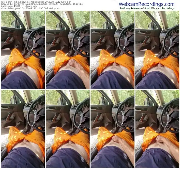 2025/08/13/cam4-thelastbebos-12-43-59