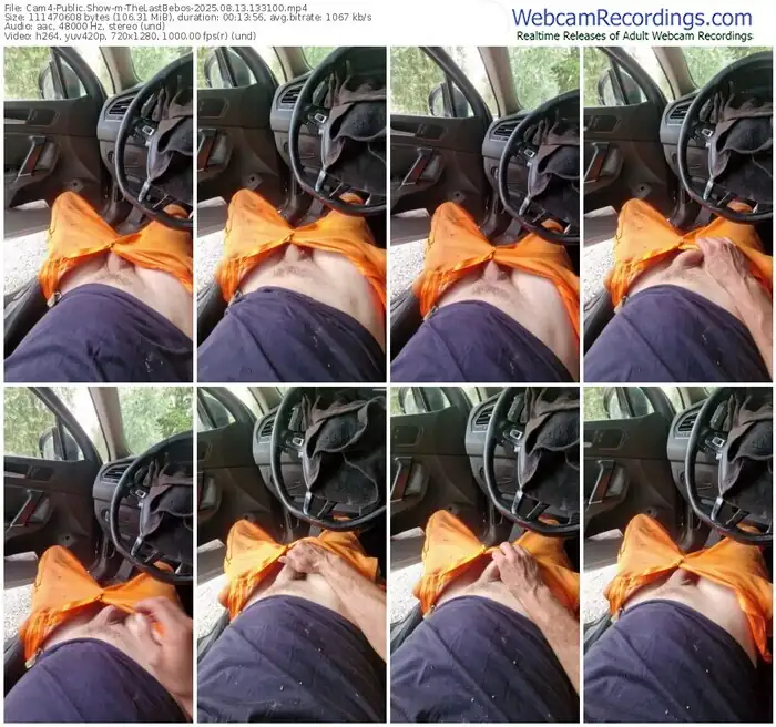 2025/08/13/cam4-thelastbebos-13-31-00