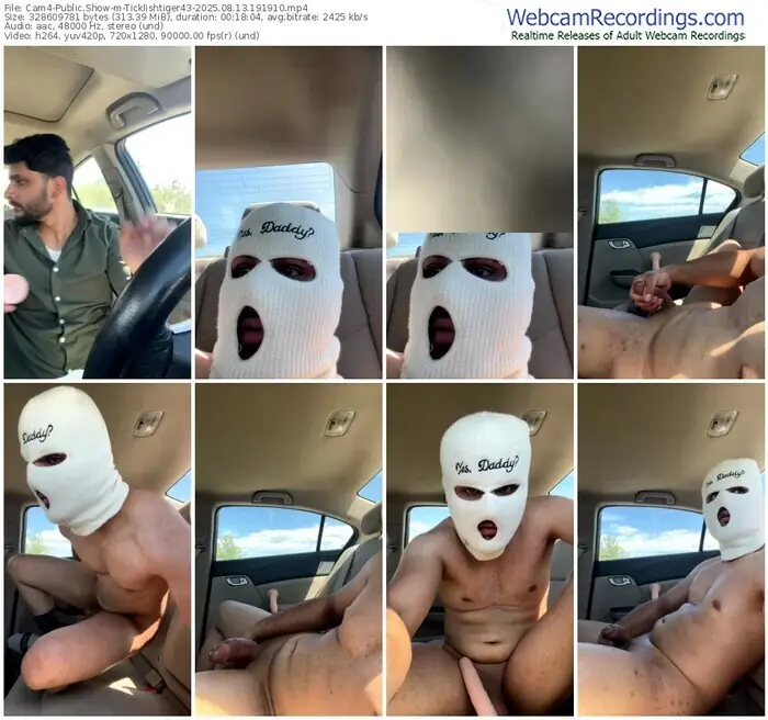 2025/08/13/cam4-ticklishtiger43-19-19-10