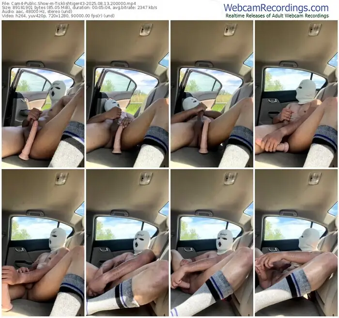 2025/08/13/cam4-ticklishtiger43-20-00-00