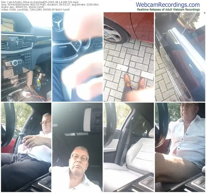 2025/08/14/cam4-dezslaaf25-08-17-23