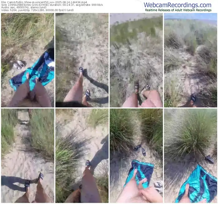 2025/08/14/cam4-vincent50_xxx-14-44-34