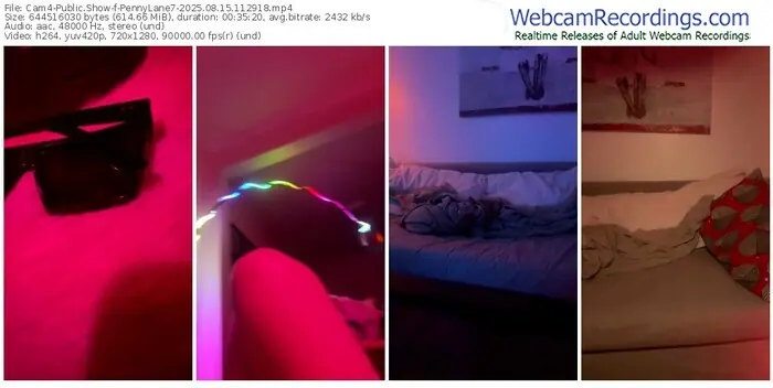 2025/08/15/cam4-pennylane7-11-29-18