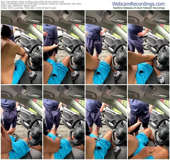 2025/08/15/cam4-likescock5-13-50-31