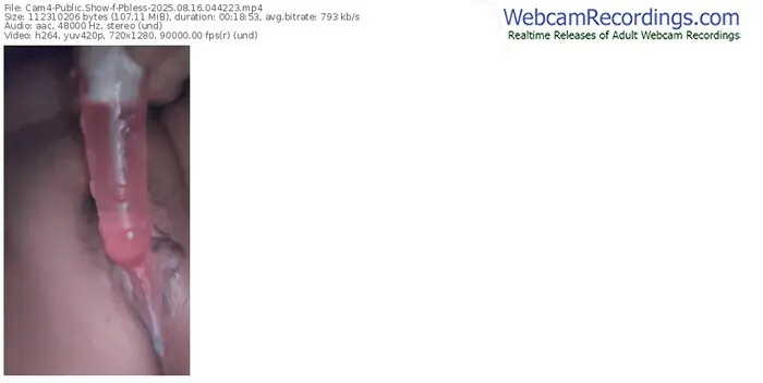 2025/08/16/cam4-pbless-04-42-23