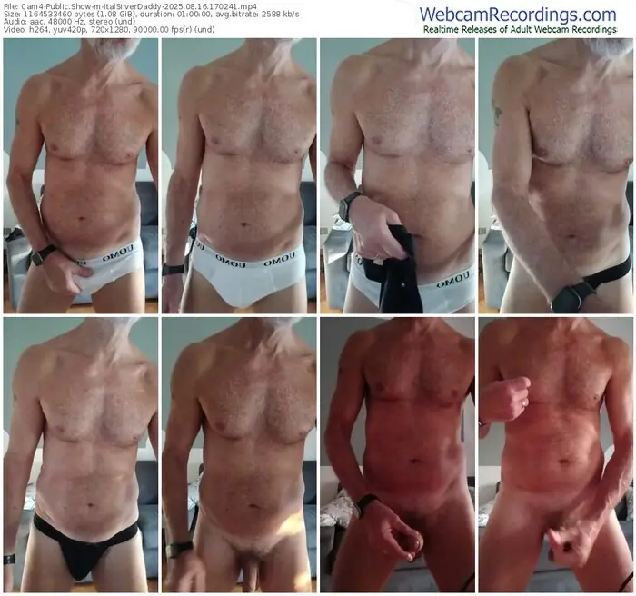 2025/08/16/cam4-italsilverdaddy-17-02-41