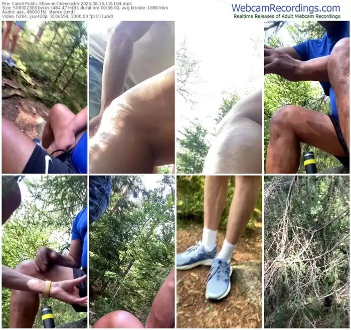 2025/08/16/cam4-likescock5-13-11-04