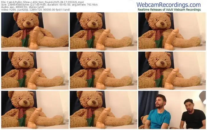 2025/08/17/cam4-404_non_found-05-33-21