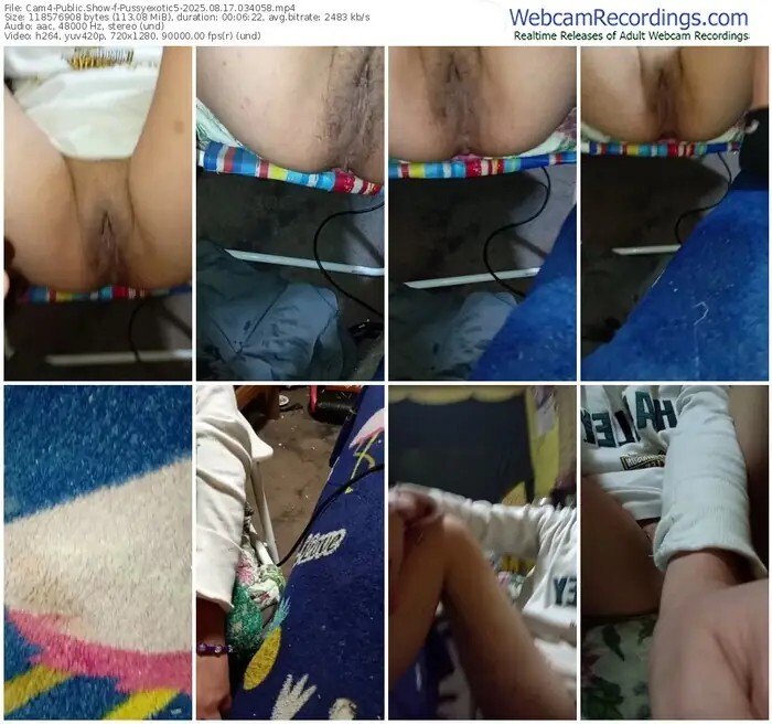 2025/08/17/cam4-pussyexotic5-03-40-58