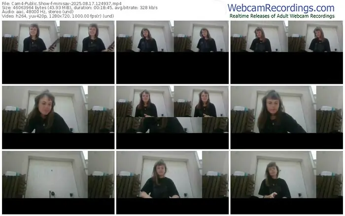 2025/08/17/cam4-minisav-12-49-37