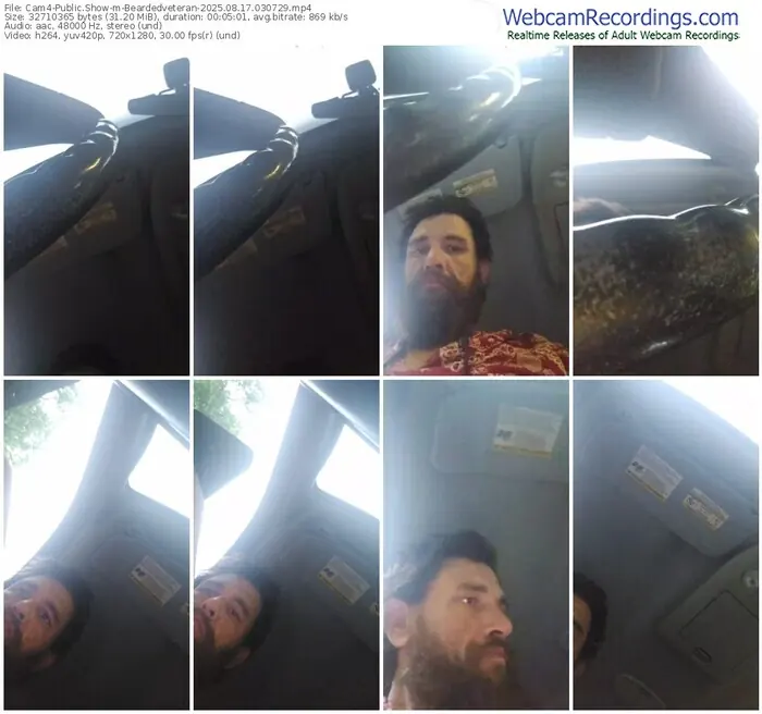 2025/08/17/cam4-beardedveteran-03-07-29