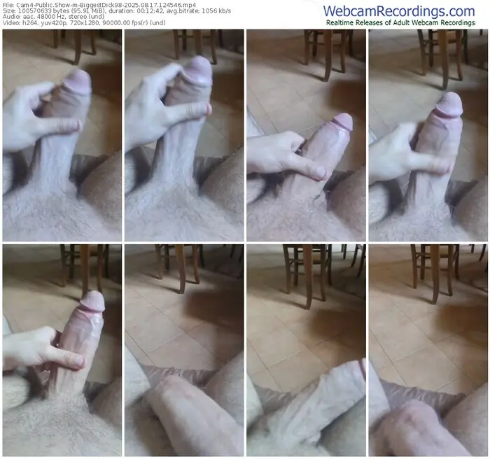 2025/08/17/cam4-biggestdick98-12-45-46