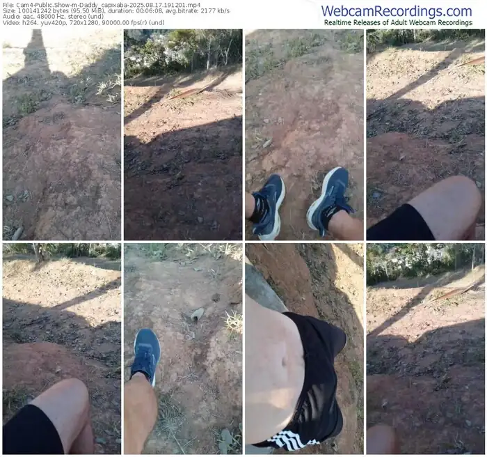 2025/08/17/cam4-daddy_capixaba-19-12-01