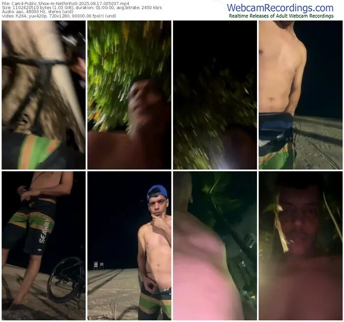 2025/08/17/cam4-nethinho0-00-50-37