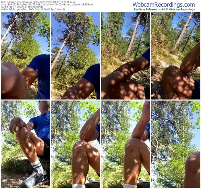 2025/08/17/cam4-likescock5-11-28-31