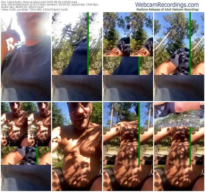 2025/08/18/cam4-likescock5-12-30-56